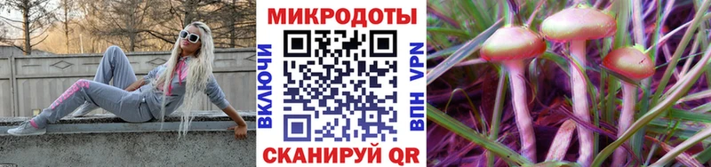 Купить закладки  Отрадная  Псилоцибиновые грибы мицелий 